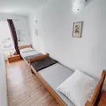 Zoricic * 诺维·维诺多尔斯基